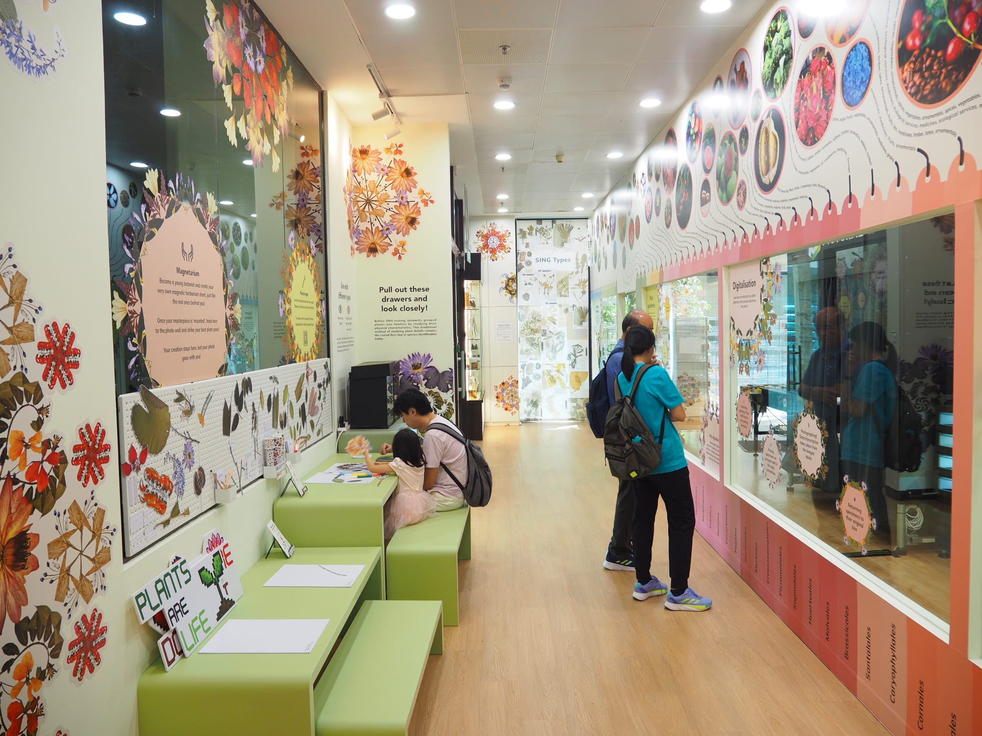 Colourful viewing panels at the exhibition